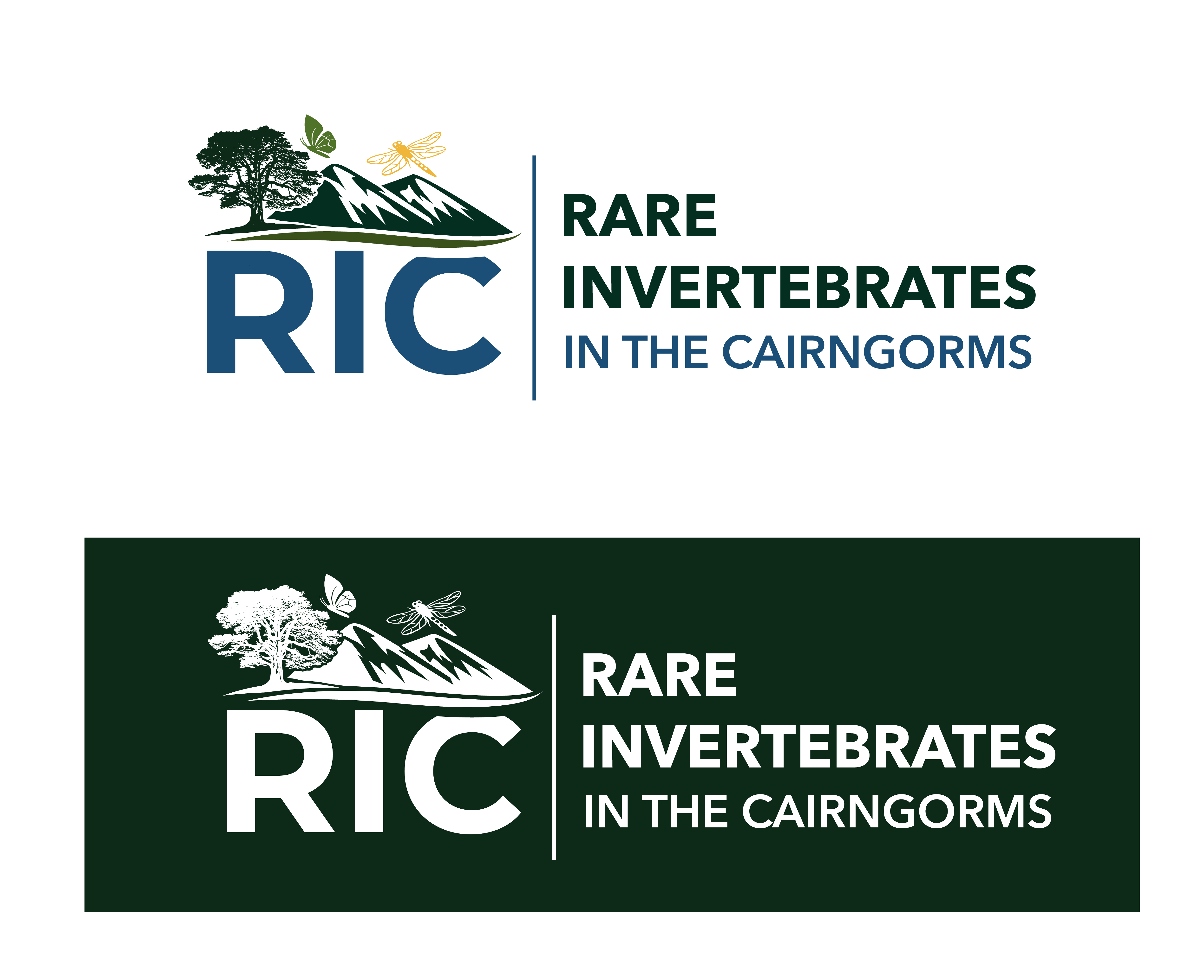 Logo Design by Graphixpointt for this project | Design #36785341