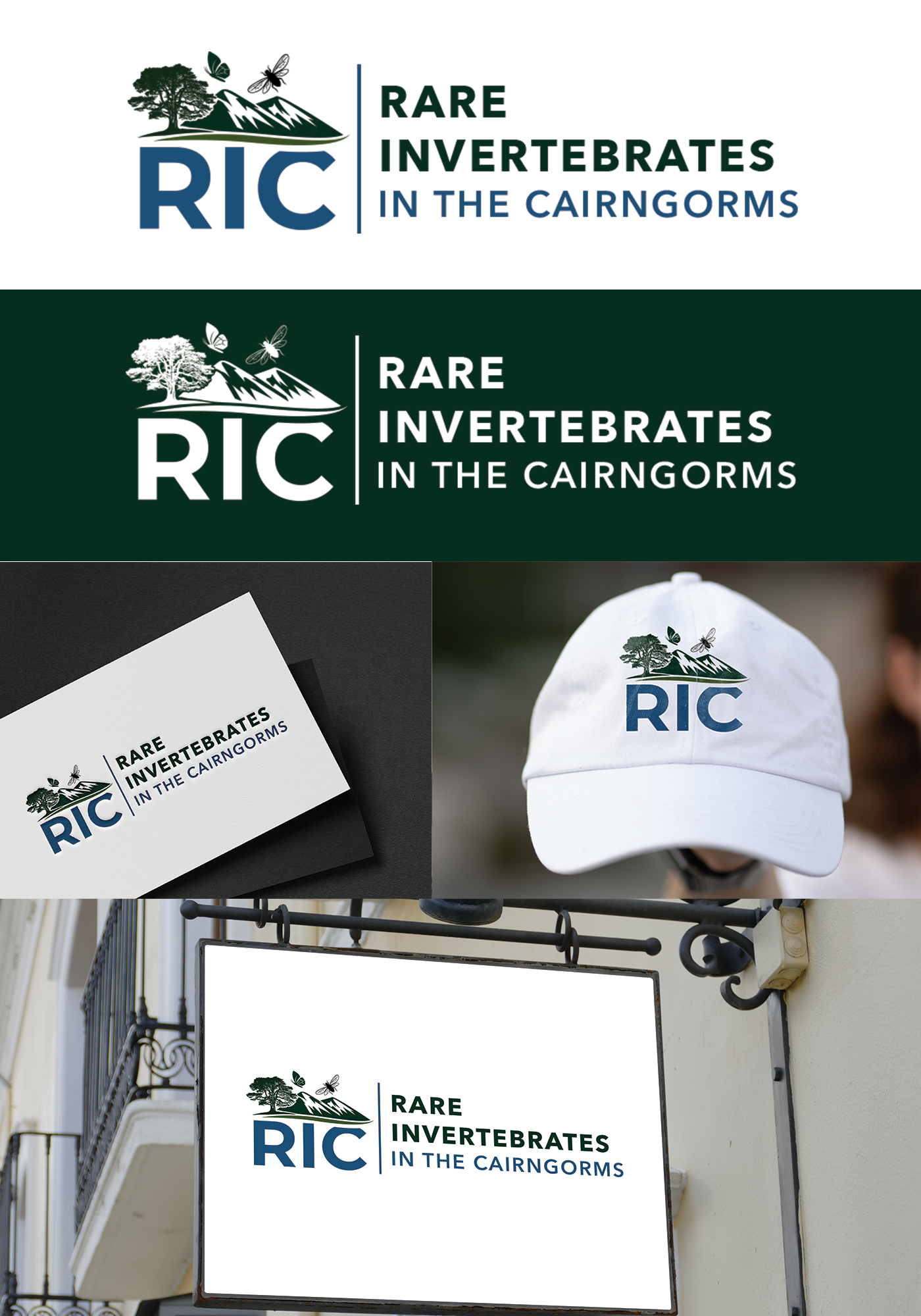 Logo Design by Graphixpointt for this project | Design #36788808