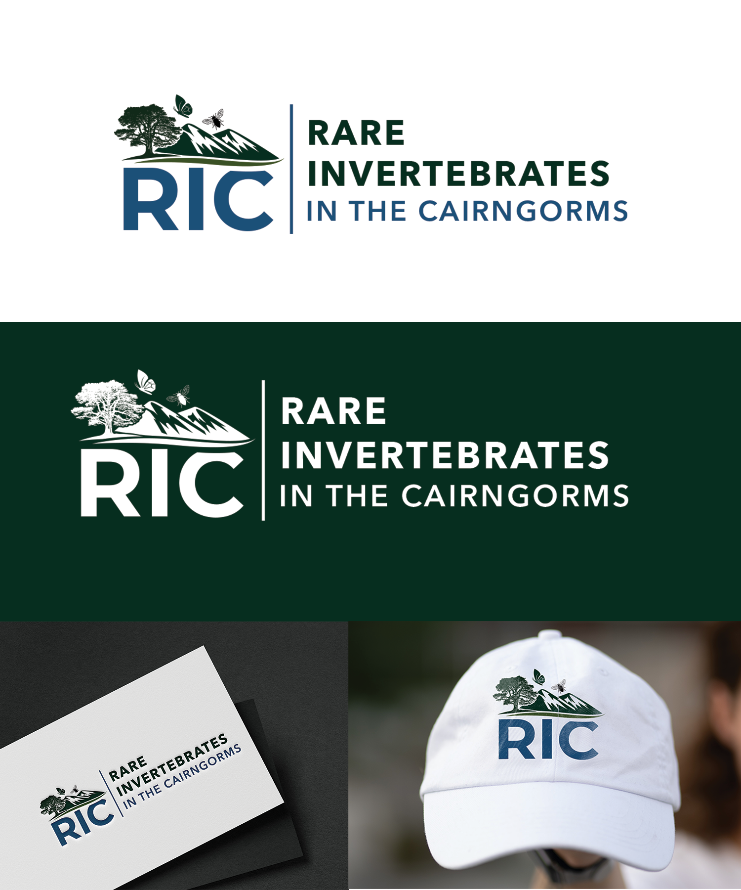 Logo Design by Graphixpointt for this project | Design: #36793746