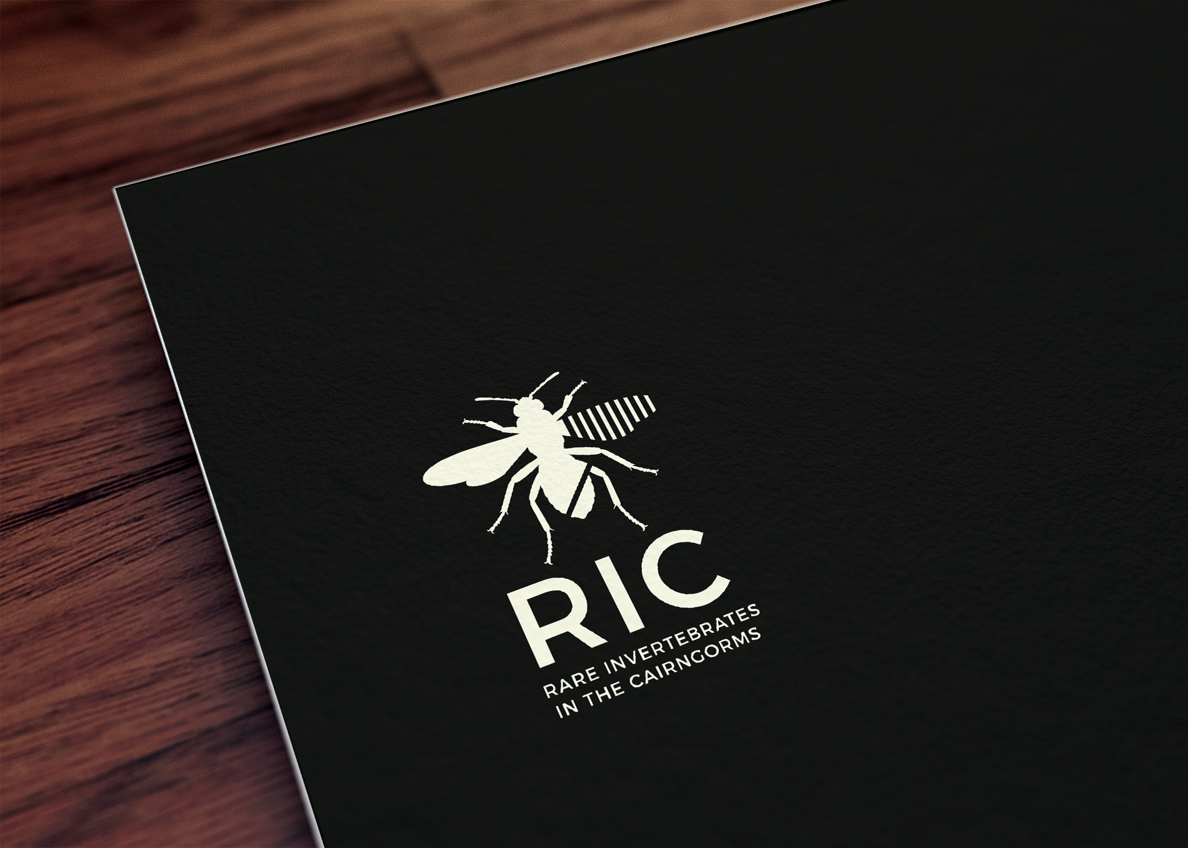 Design de Logo par mekail pour ce projet | Design #36781974