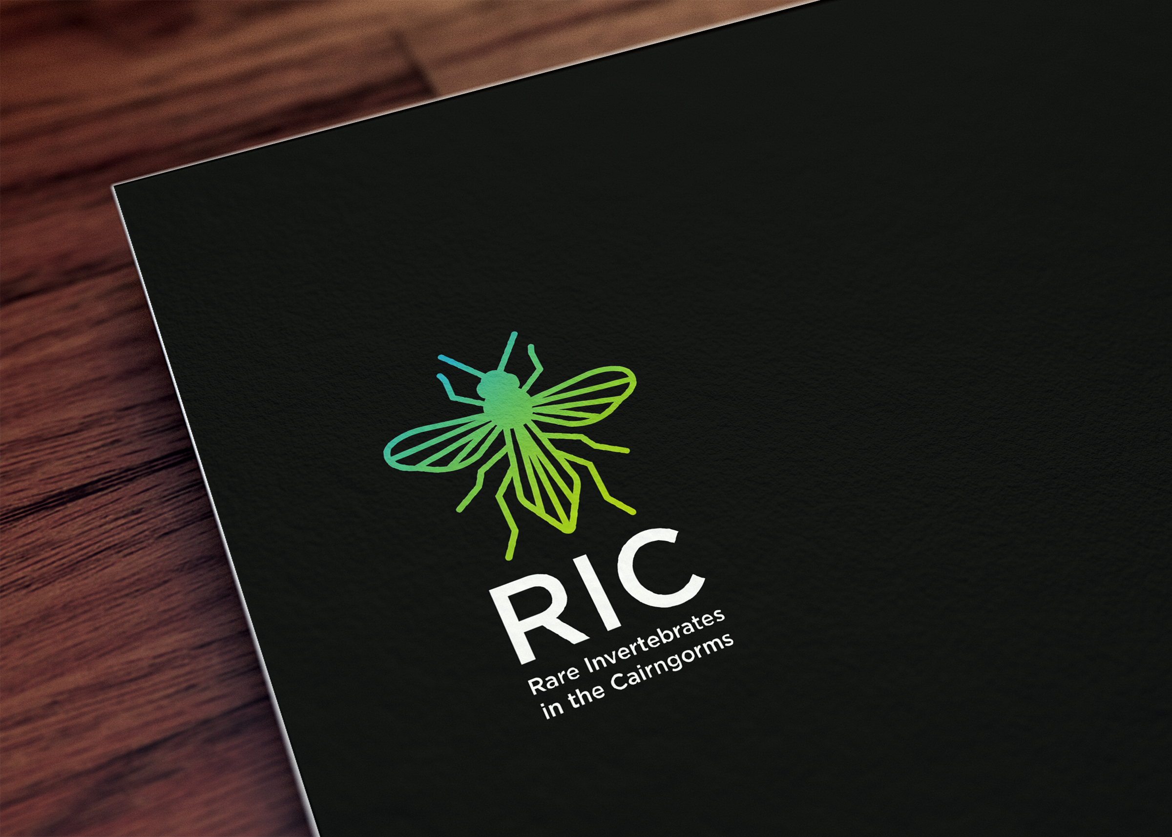 Design de Logo par mekail pour ce projet | Design #36781975