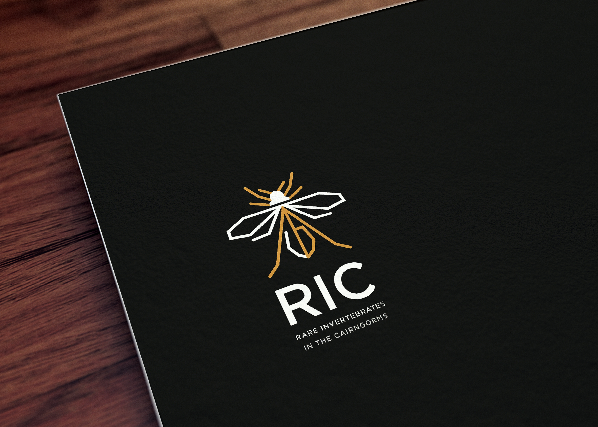 Design de Logo par mekail pour ce projet | Design #36781977