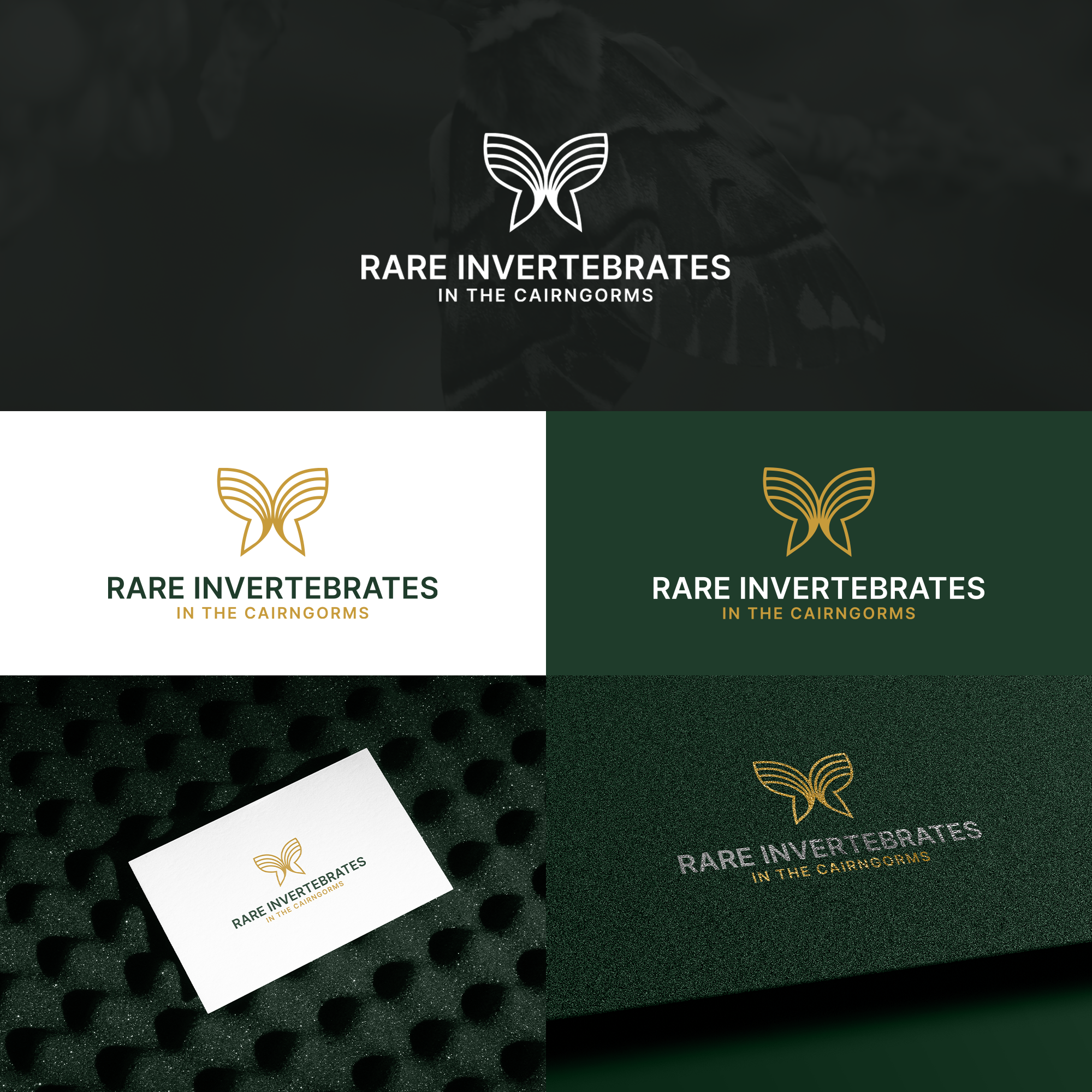 Design de Logo par MH91 pour ce projet | Design #36784770