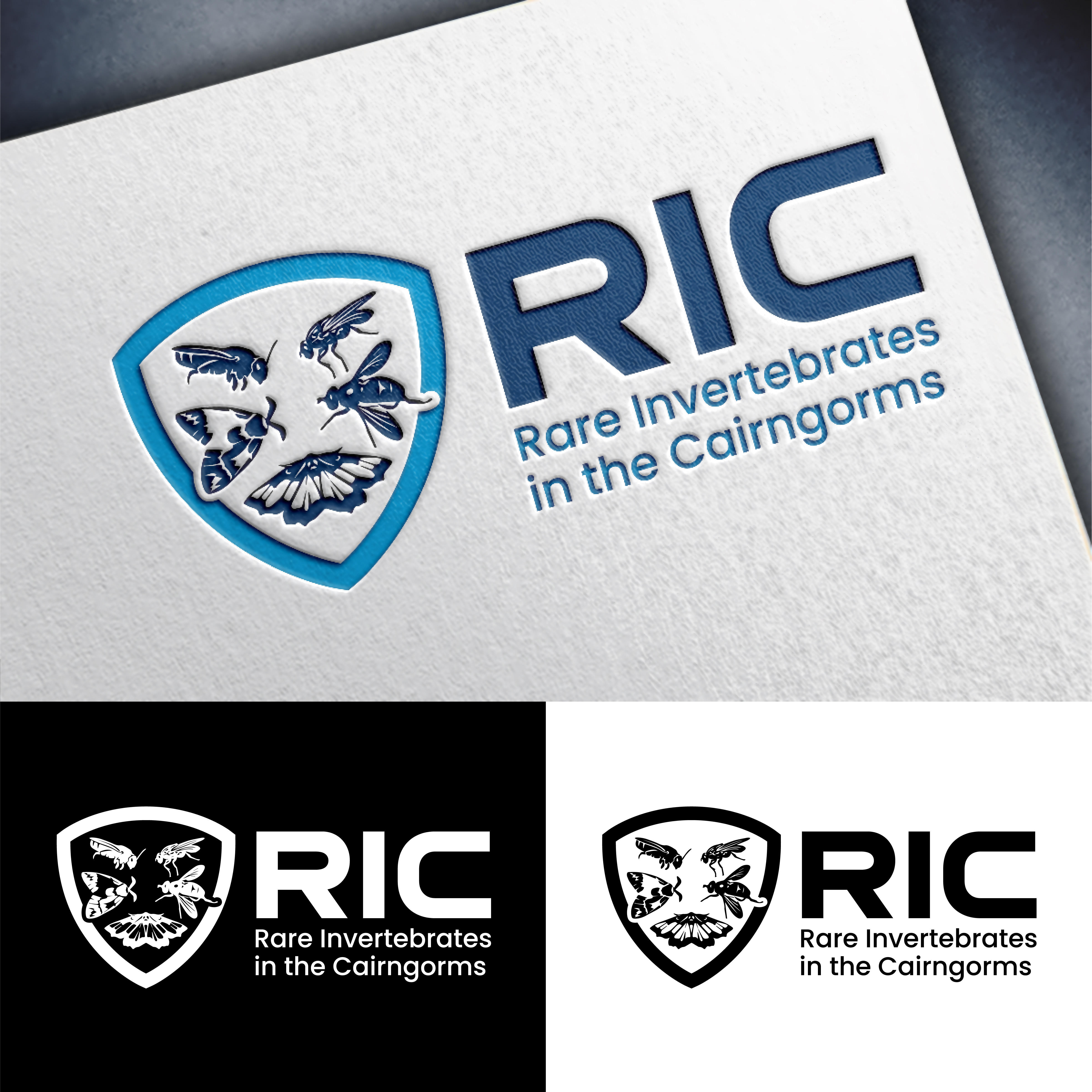 Design de Logo par John Mark Arts pour ce projet | Design #36782623