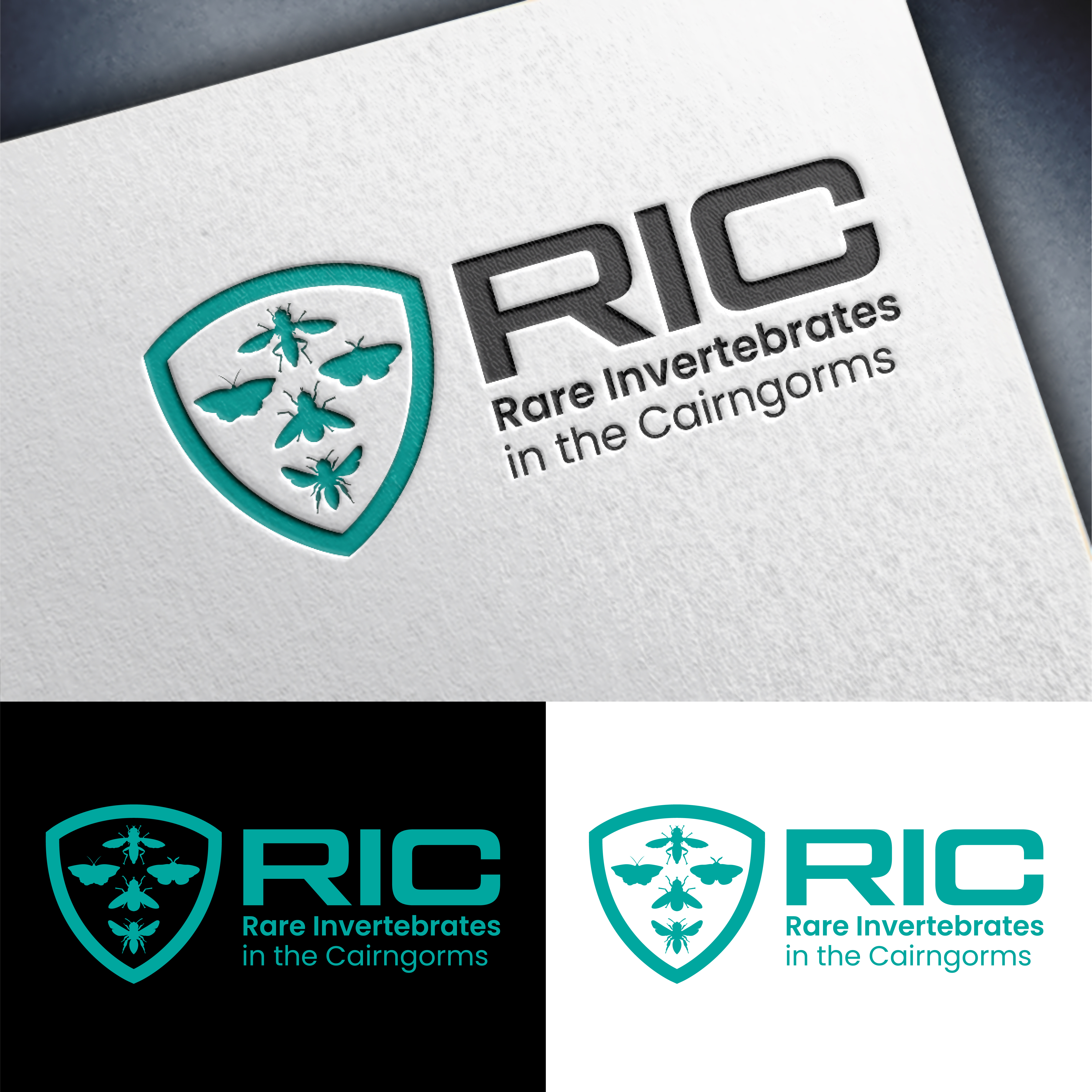 Logo Design by John Mark Arts for this project | Design #36782977