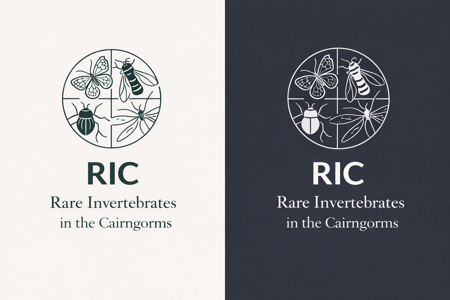 Logo Design by designs by Dylan for this project | Design #36814621