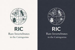 Design de Logo par designs by Dylan pour ce projet | Design : #36814621