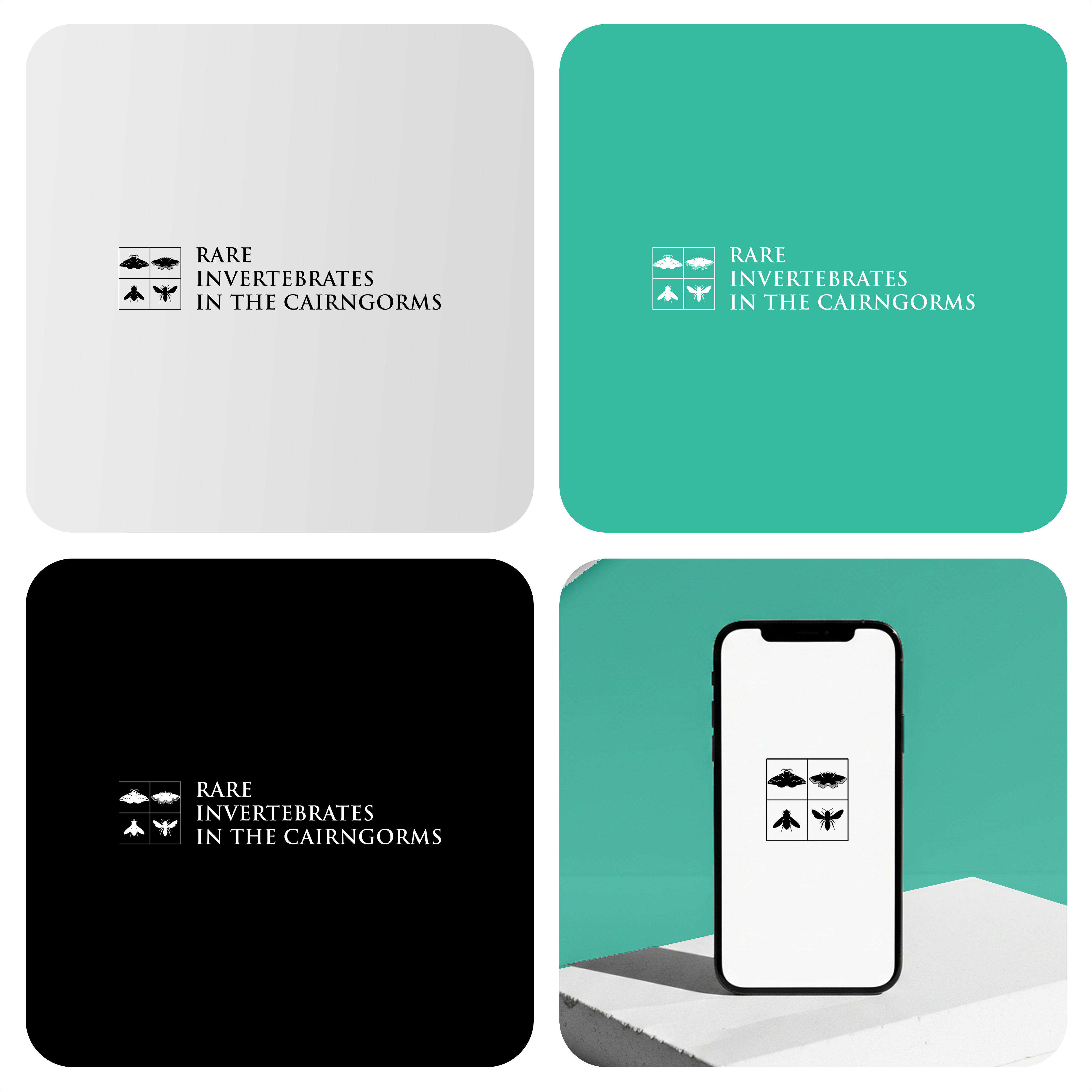 Design de Logo par Fortunate Studio pour ce projet | Design #36781211