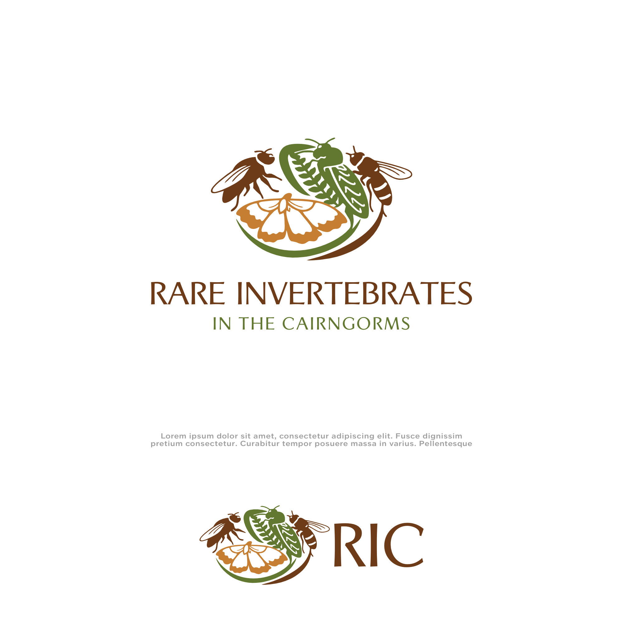 Design de Logo par win it pour ce projet | Design #36780129