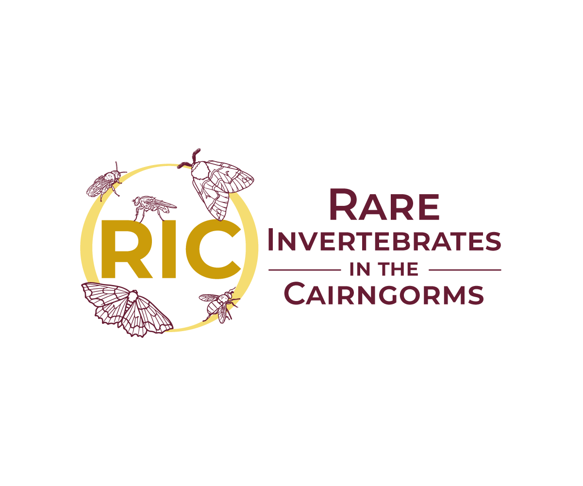 Design de Logo par Nurica pour ce projet | Design #36808066