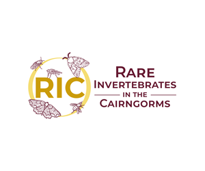 Design de Logo par Nurica pour ce projet | Design : #36808066