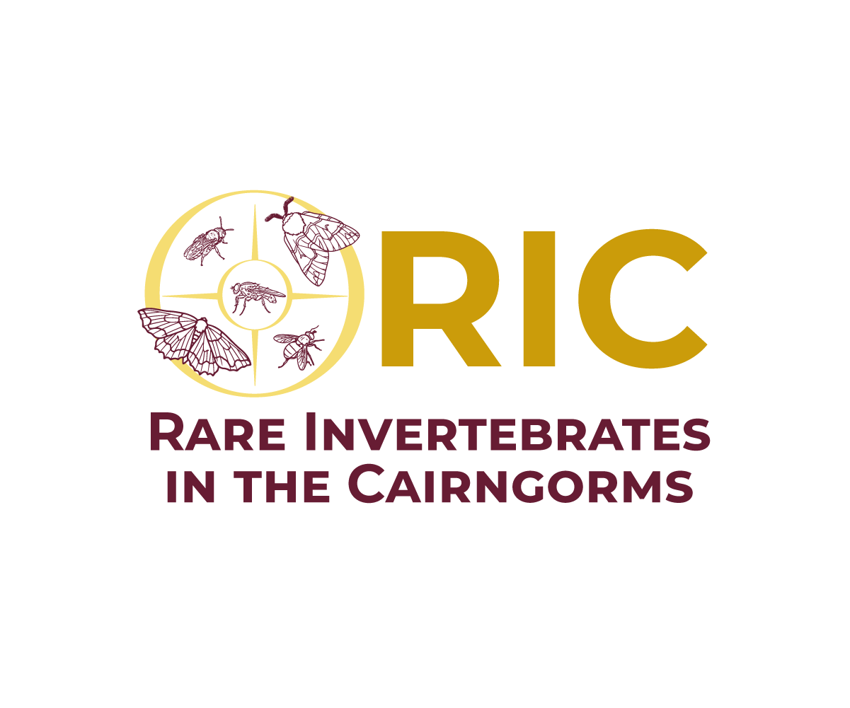 Design de Logo par Nurica pour ce projet | Design #36808070