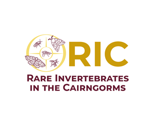 Design de Logo par Nurica pour ce projet | Design : #36808070