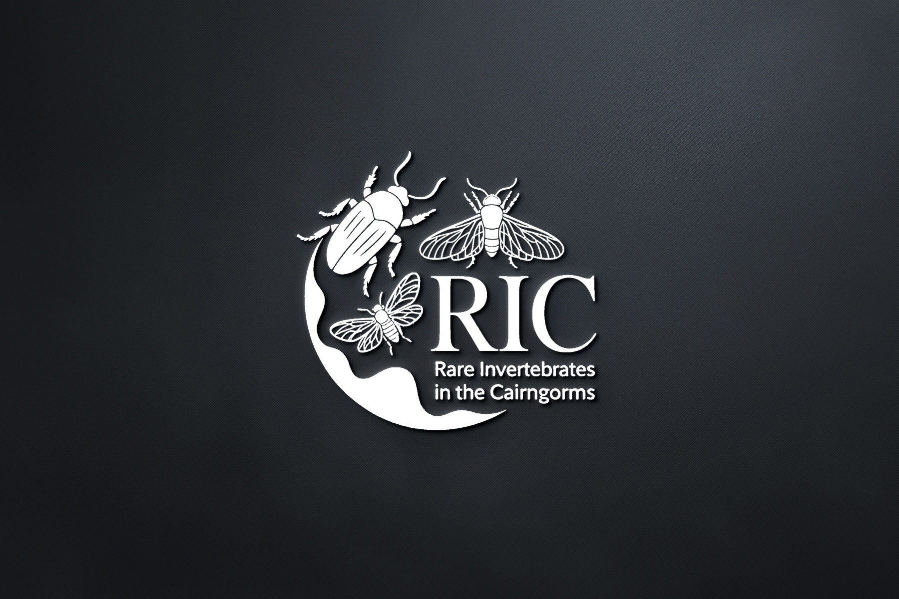 Design de Logo par Olivia Marie Smith pour ce projet | Design #36779322