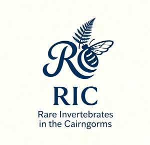 Design de Logo par echosaputro pour ce projet | Design : #36816596