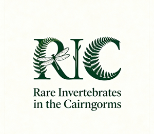 Design de Logo par echosaputro pour ce projet | Design : #36816597