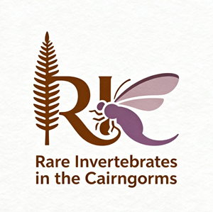 Design de Logo par echosaputro pour ce projet | Design : #36816598