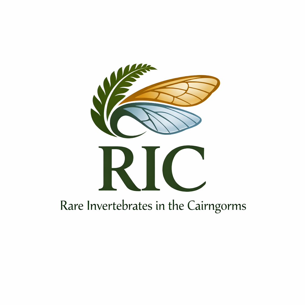 Logo Design by echosaputro for this project | Design #36816613