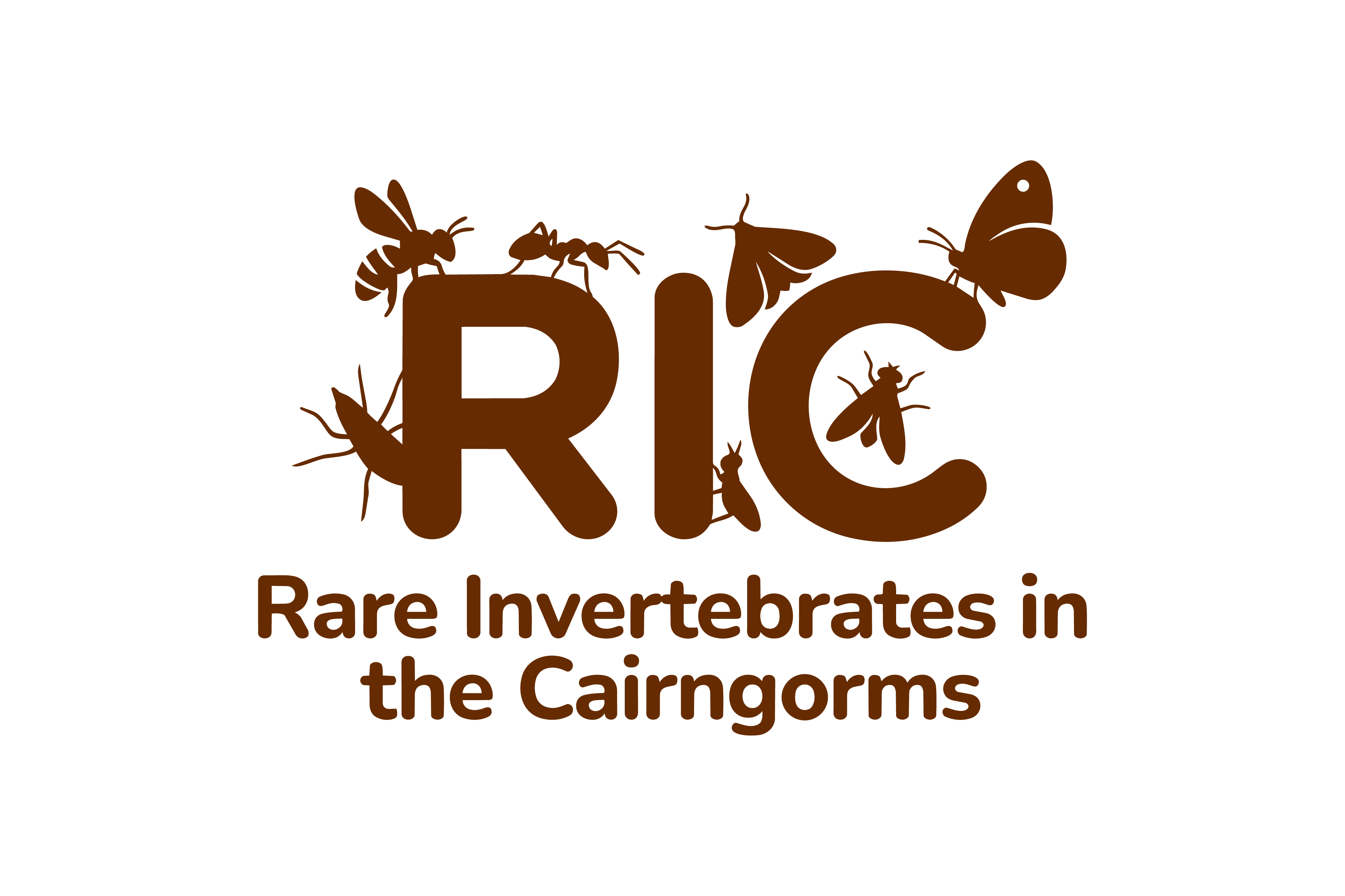 Design de Logo par HSL Brain pour ce projet | Design #36782094