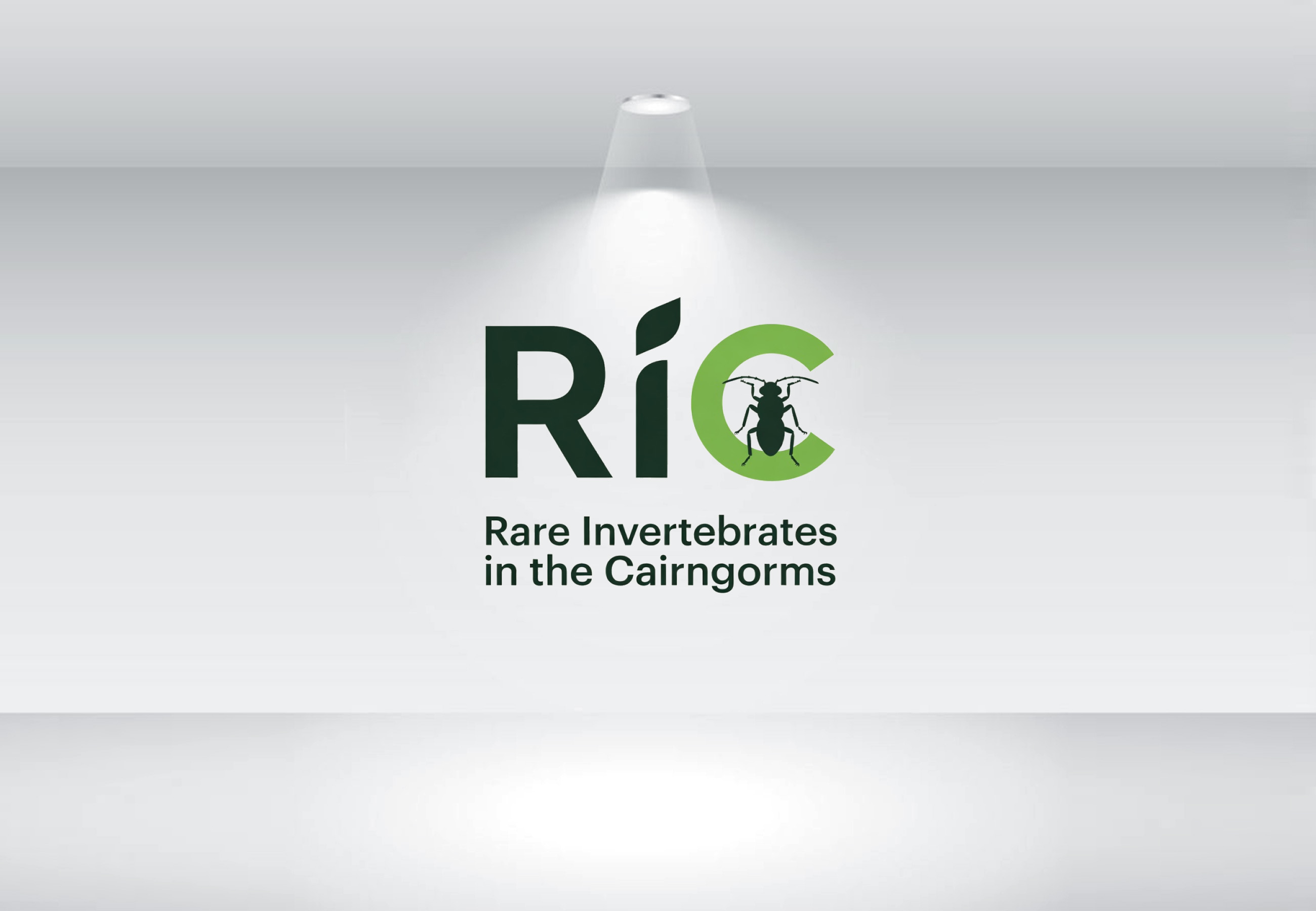 Design de Logo par GraphiqueLab pour ce projet | Design #36787232