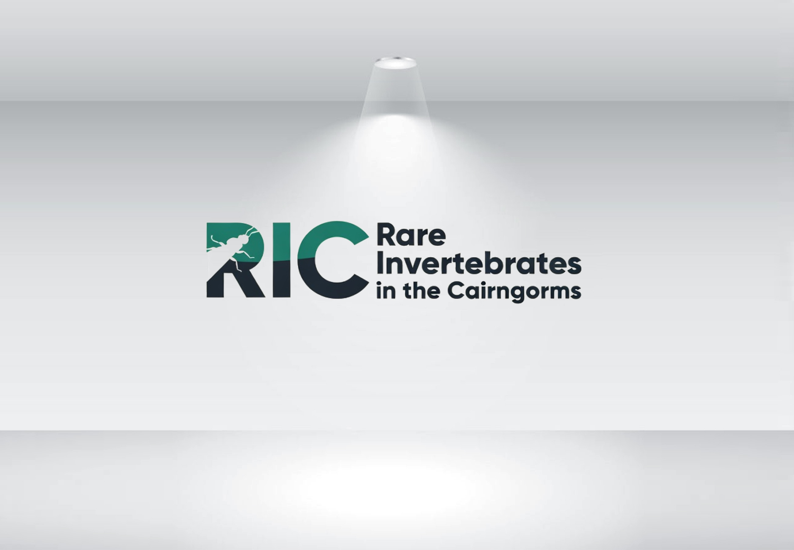 Design de Logo par GraphiqueLab pour ce projet | Design #36787233