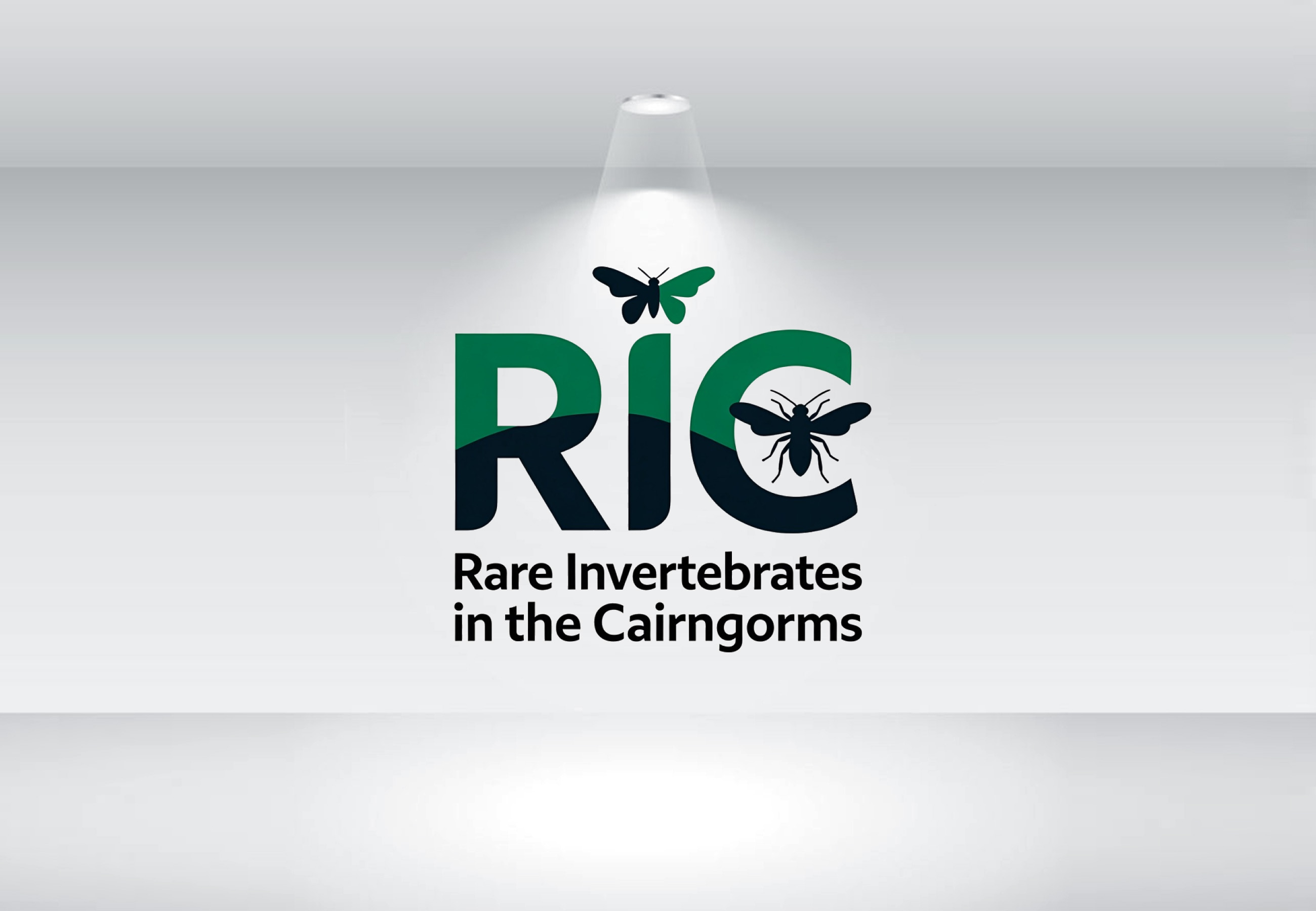 Design de Logo par GraphiqueLab pour ce projet | Design #36787235