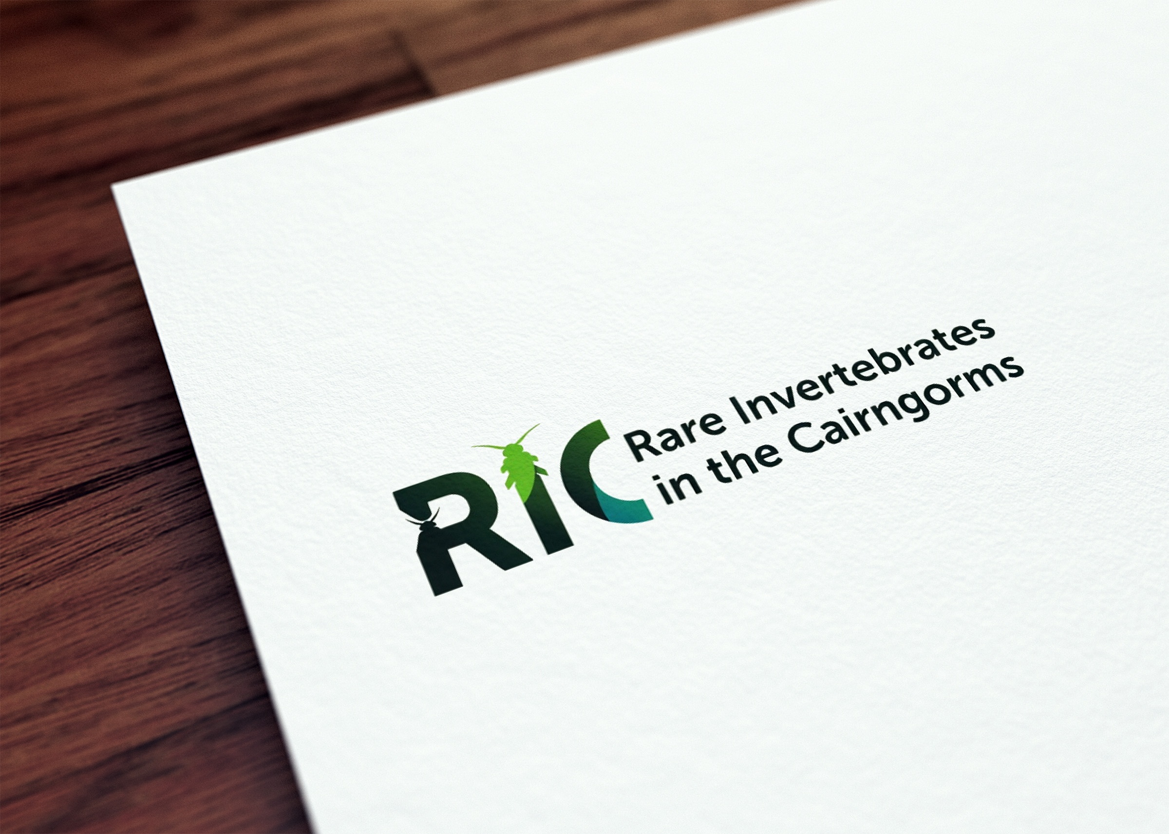 Design de Logo par GraphiqueLab pour ce projet | Design #36787241