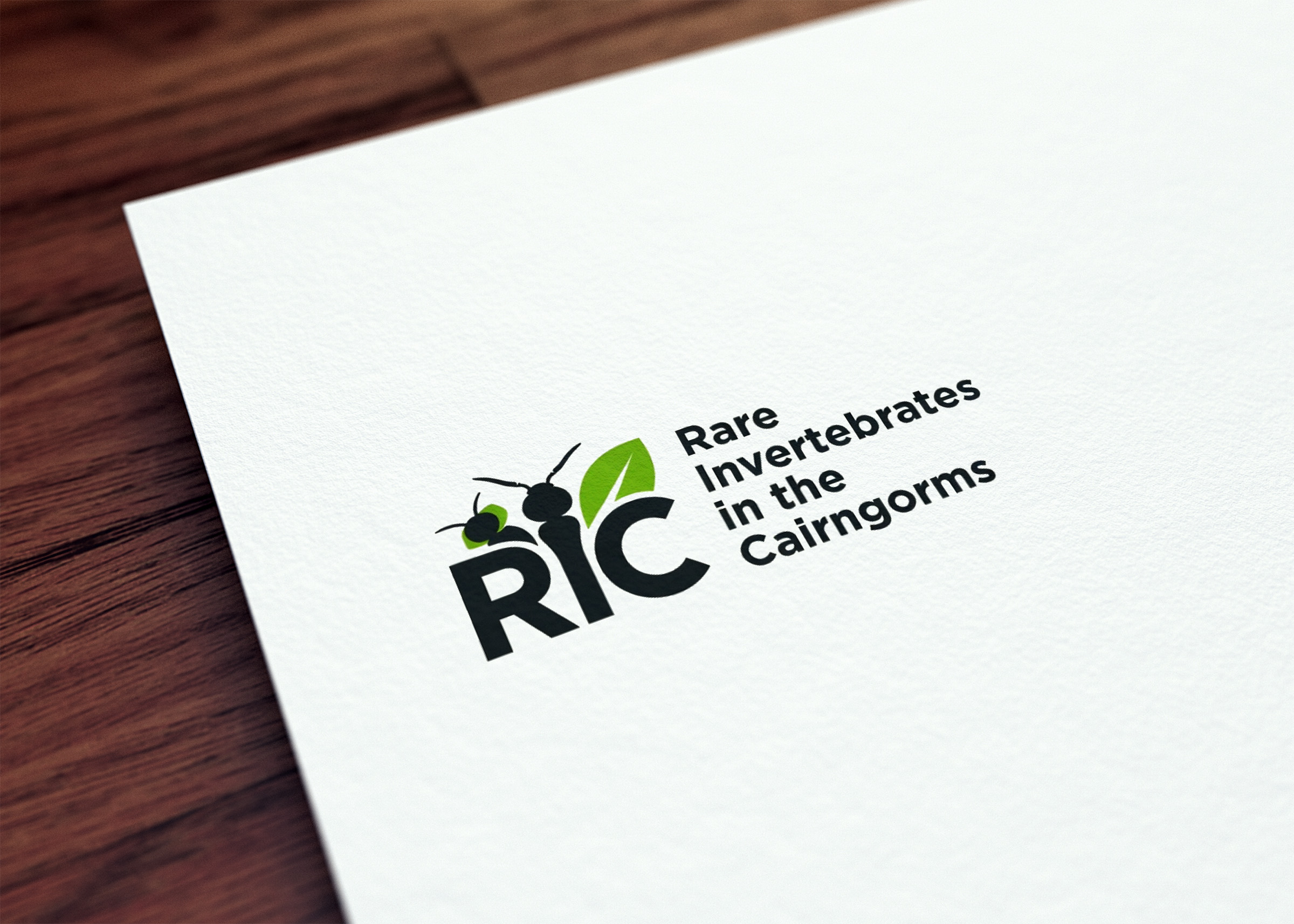 Design de Logo par GraphiqueLab pour ce projet | Design #36787243