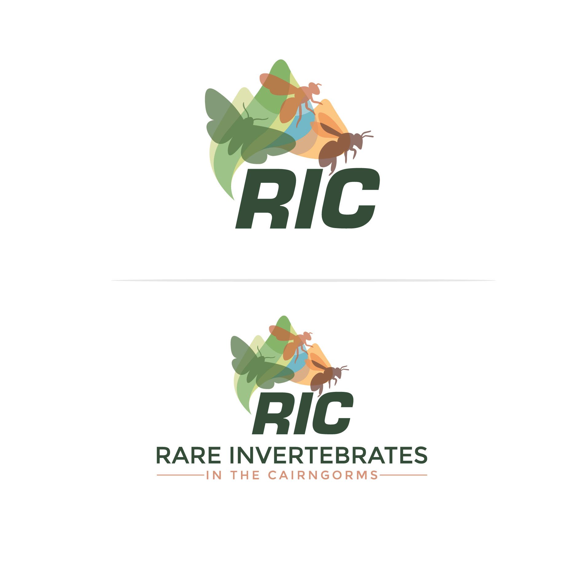 Design de Logo par MST Ajijunnahar pour ce projet | Design #36789431