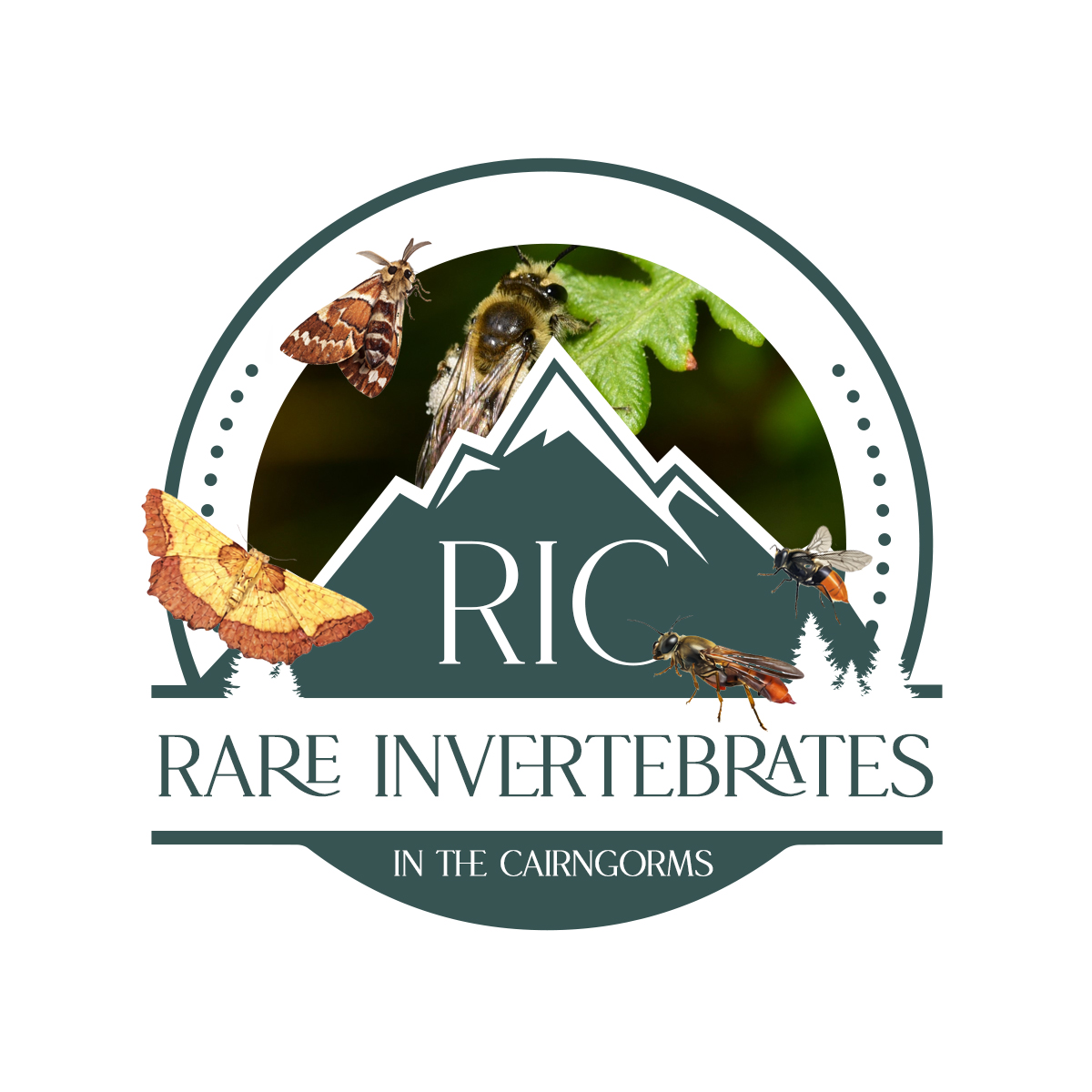 Logo Design by Kajal UI/UX for this project | Design #36788435