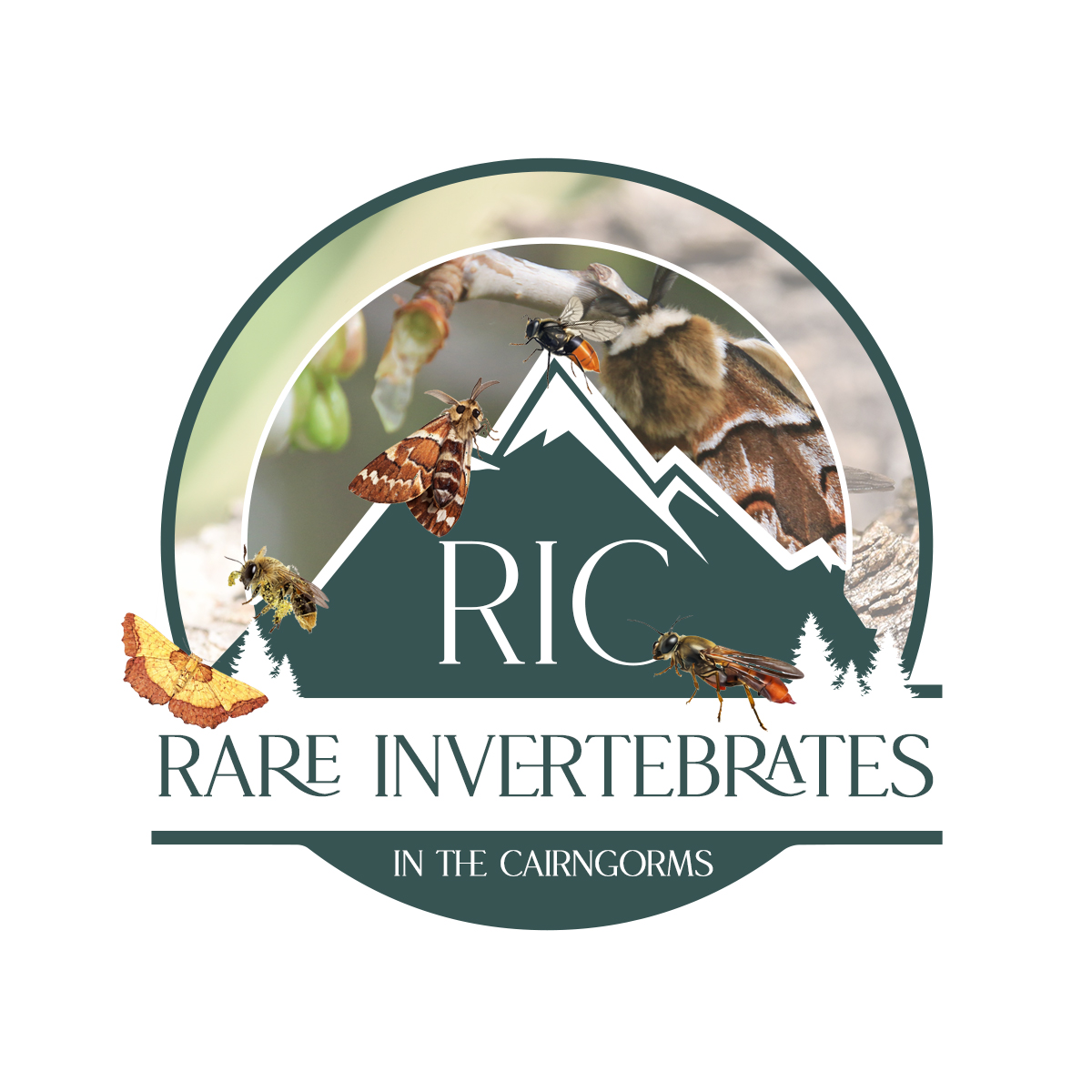 Logo Design by Kajal UI/UX for this project | Design #36788436