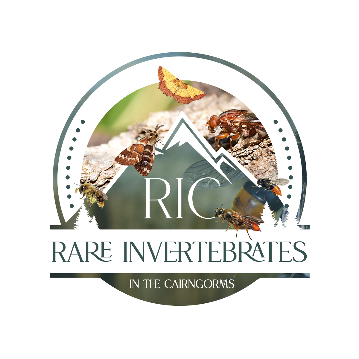 Logo Design by Kajal UI/UX for this project | Design #36788437