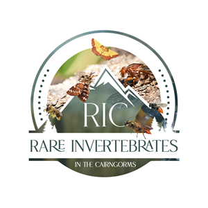 Logo Design by Kajal UI/UX for this project | Design: #36788437