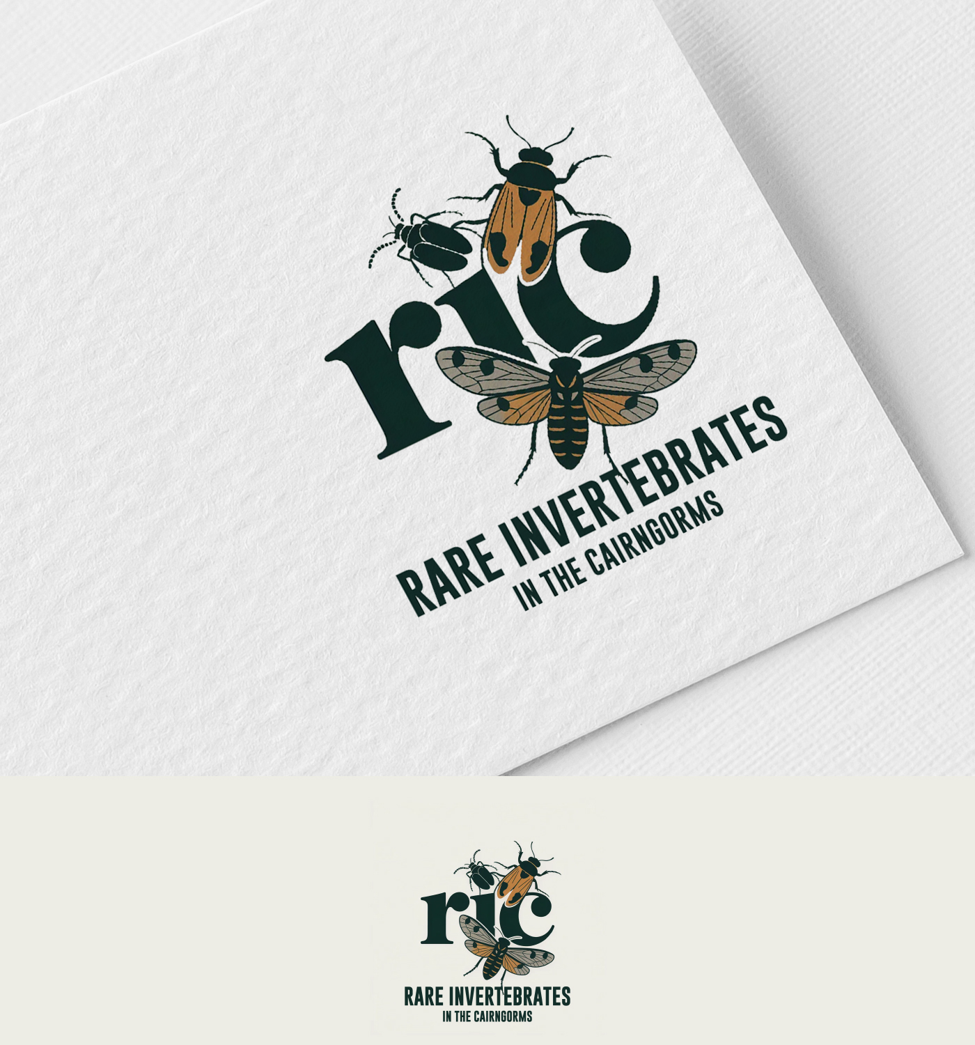 Design de Logo par Mehedi100 pour ce projet | Design #36788079