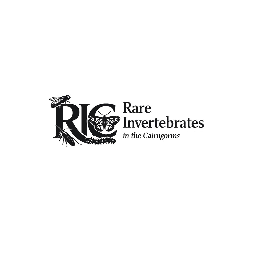 Logo-Design von StudioNYC für dieses Projekt | Design #36785223