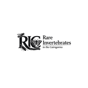 Logo Design by StudioNYC