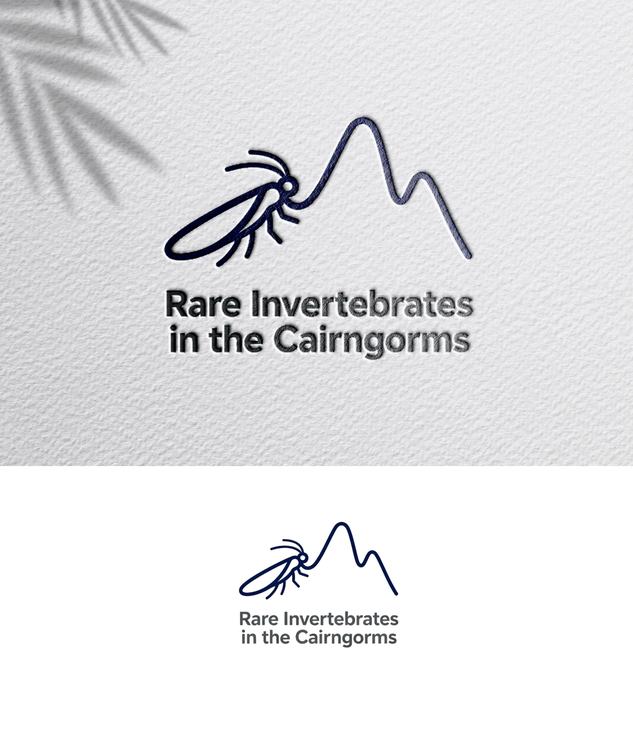 Design de Logo par zoyario pour ce projet | Design #36790098