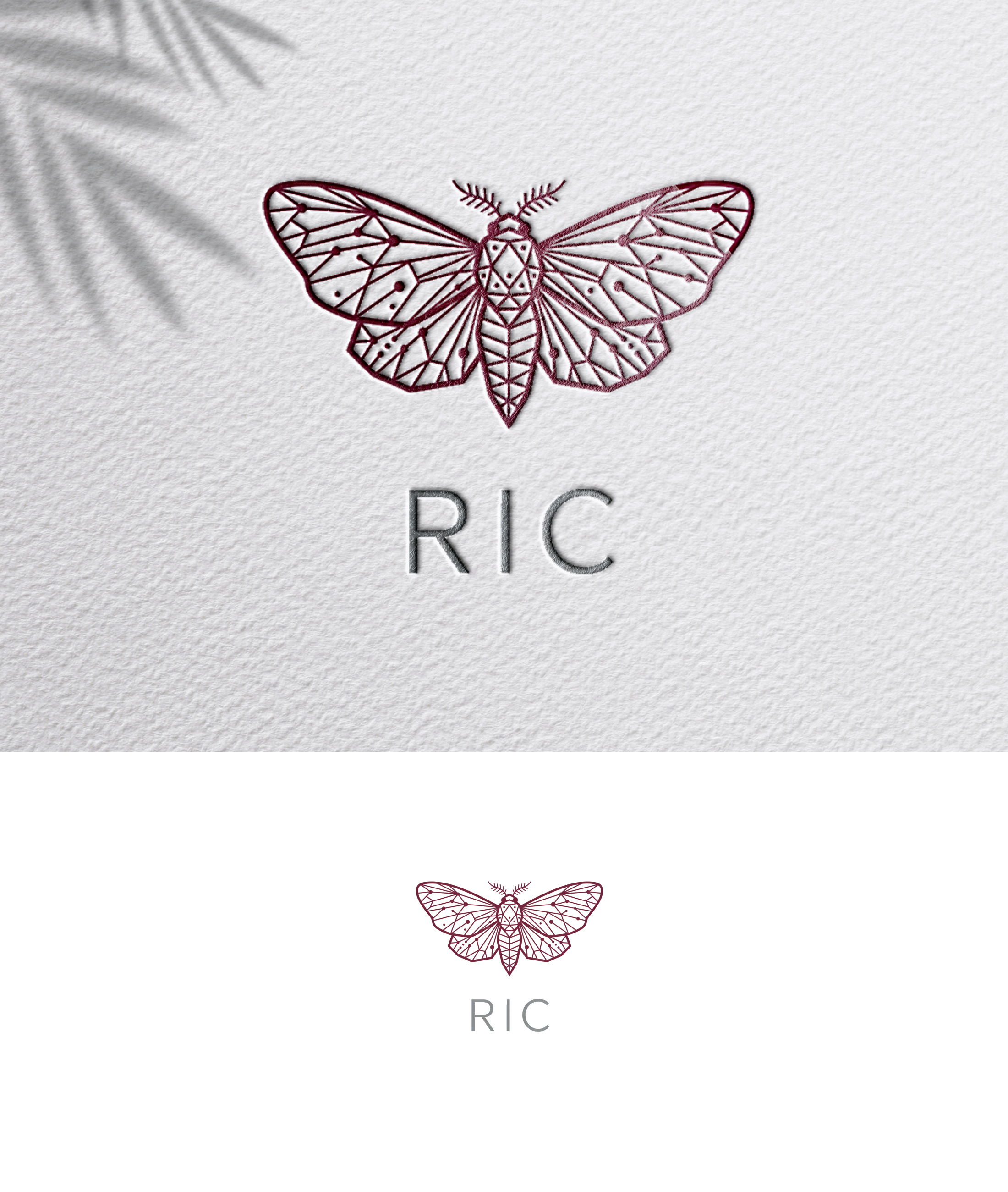 Design de Logo par zoyario pour ce projet | Design #36790104