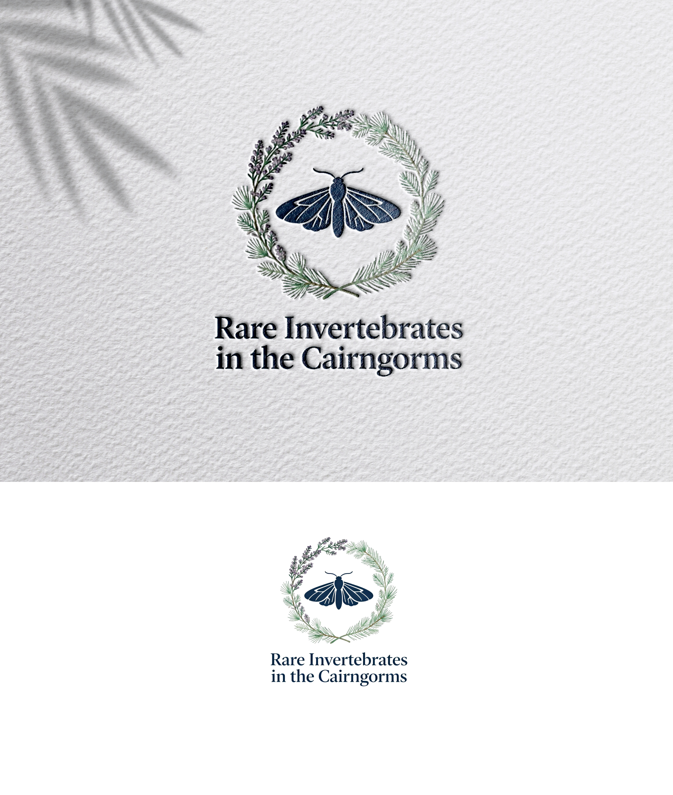 Design de Logo par zoyario pour ce projet | Design #36790106