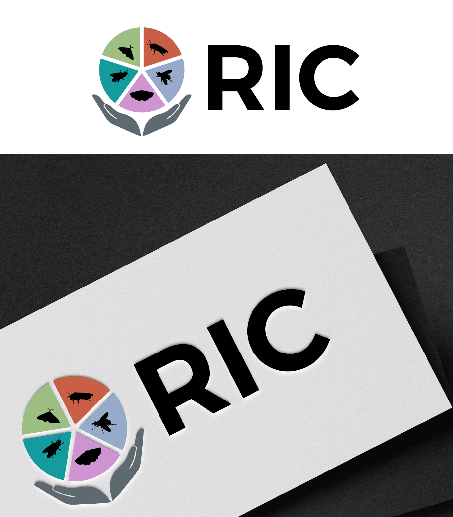 Design de Logo par bpampa81 pour ce projet | Design #36806662