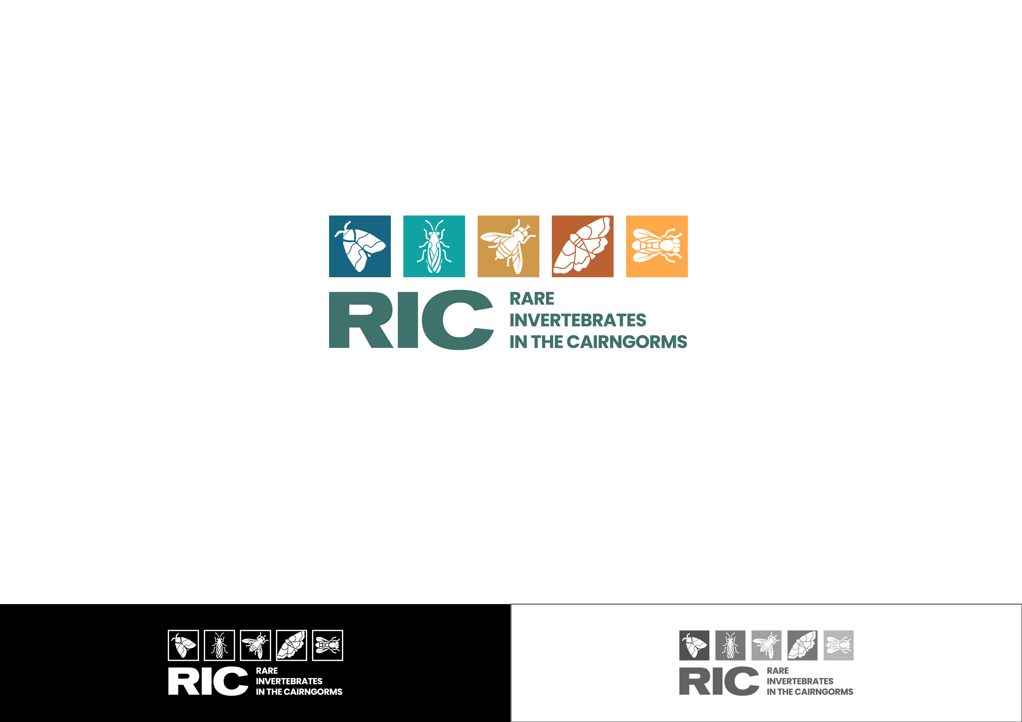 Design de Logo par ~idiaz~ pour ce projet | Design #36783792