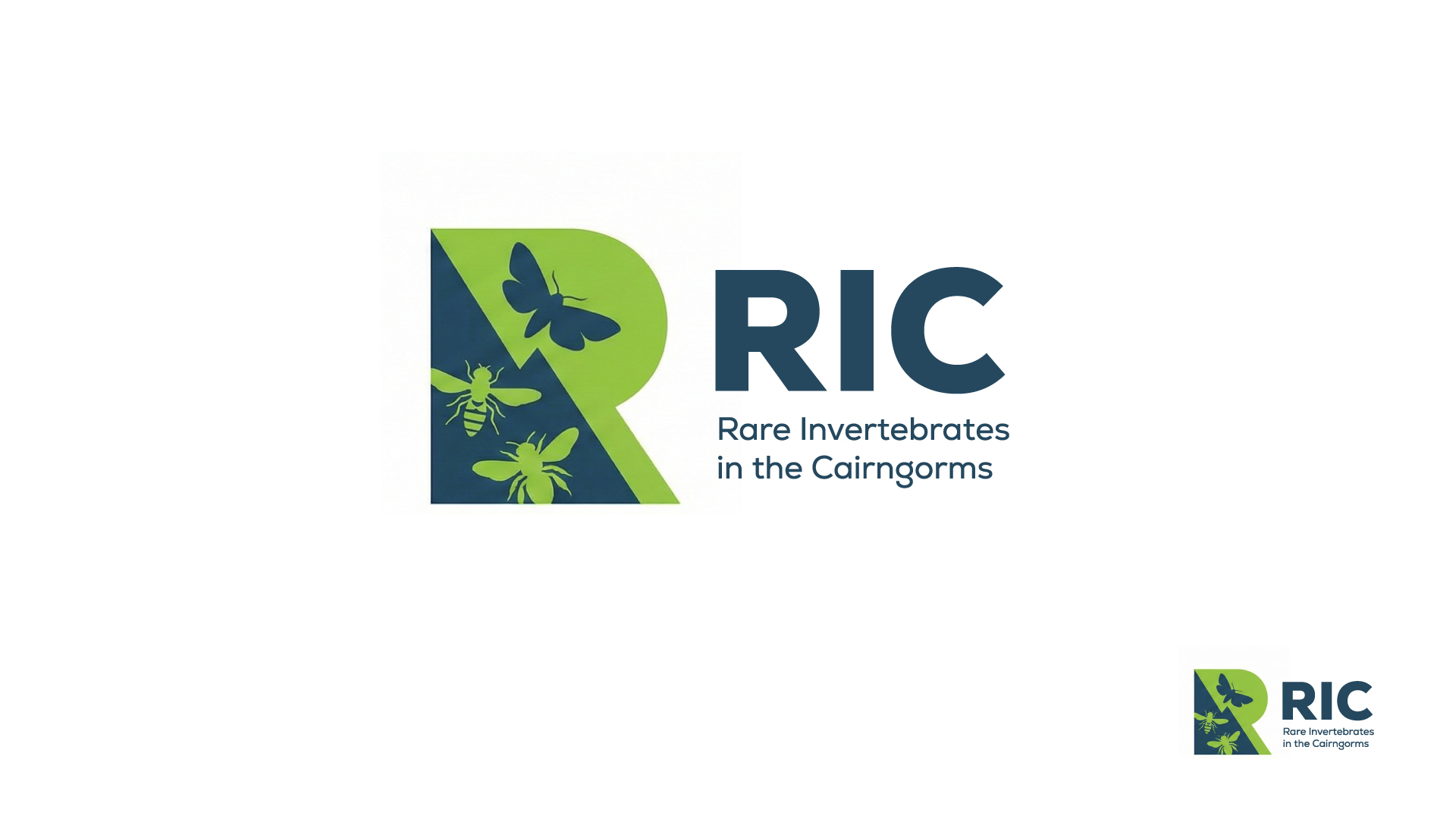 Logo Design by PixelizeDesigns for this project | Design #36781049