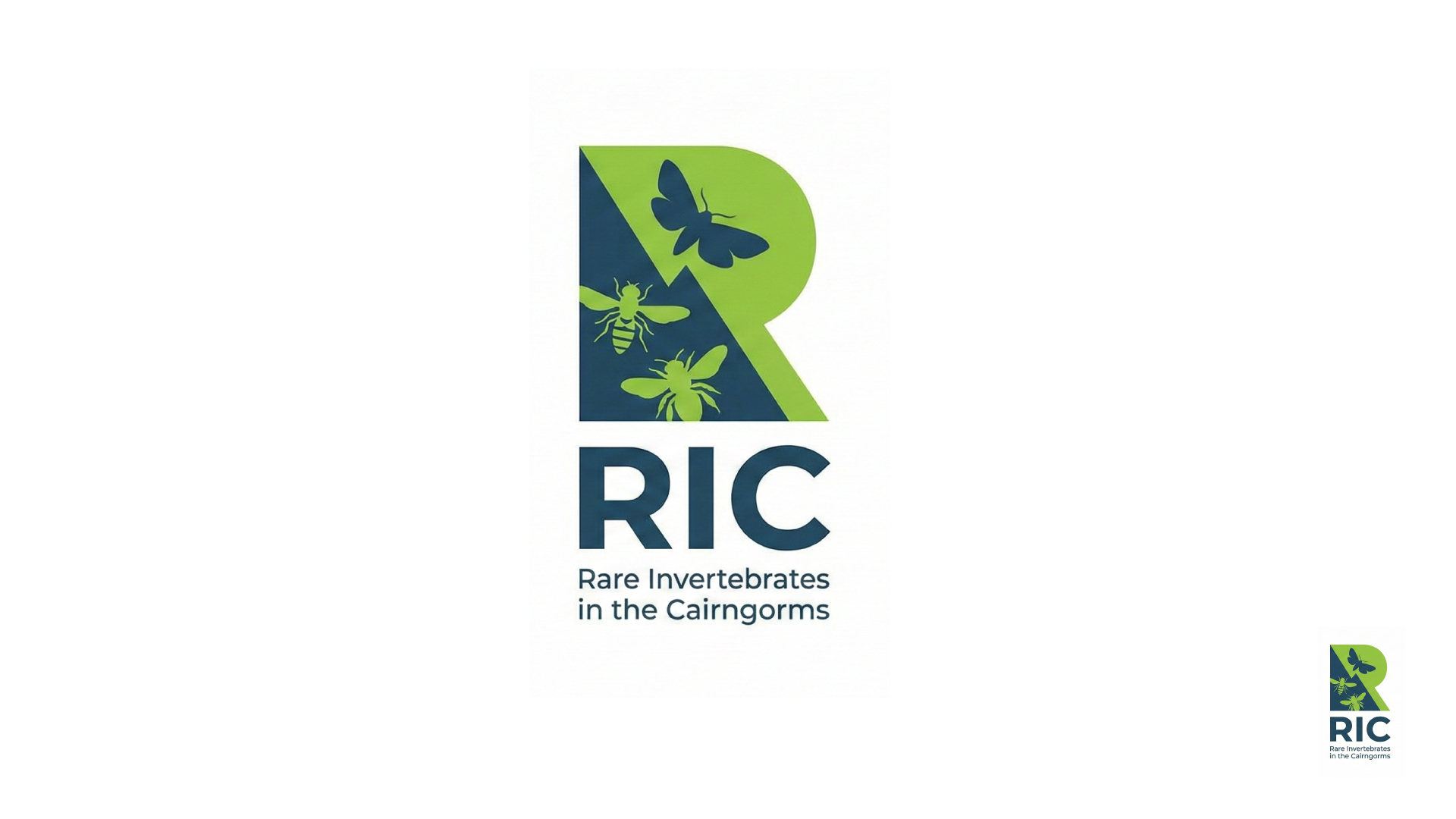 Logo Design by PixelizeDesigns for this project | Design #36781051