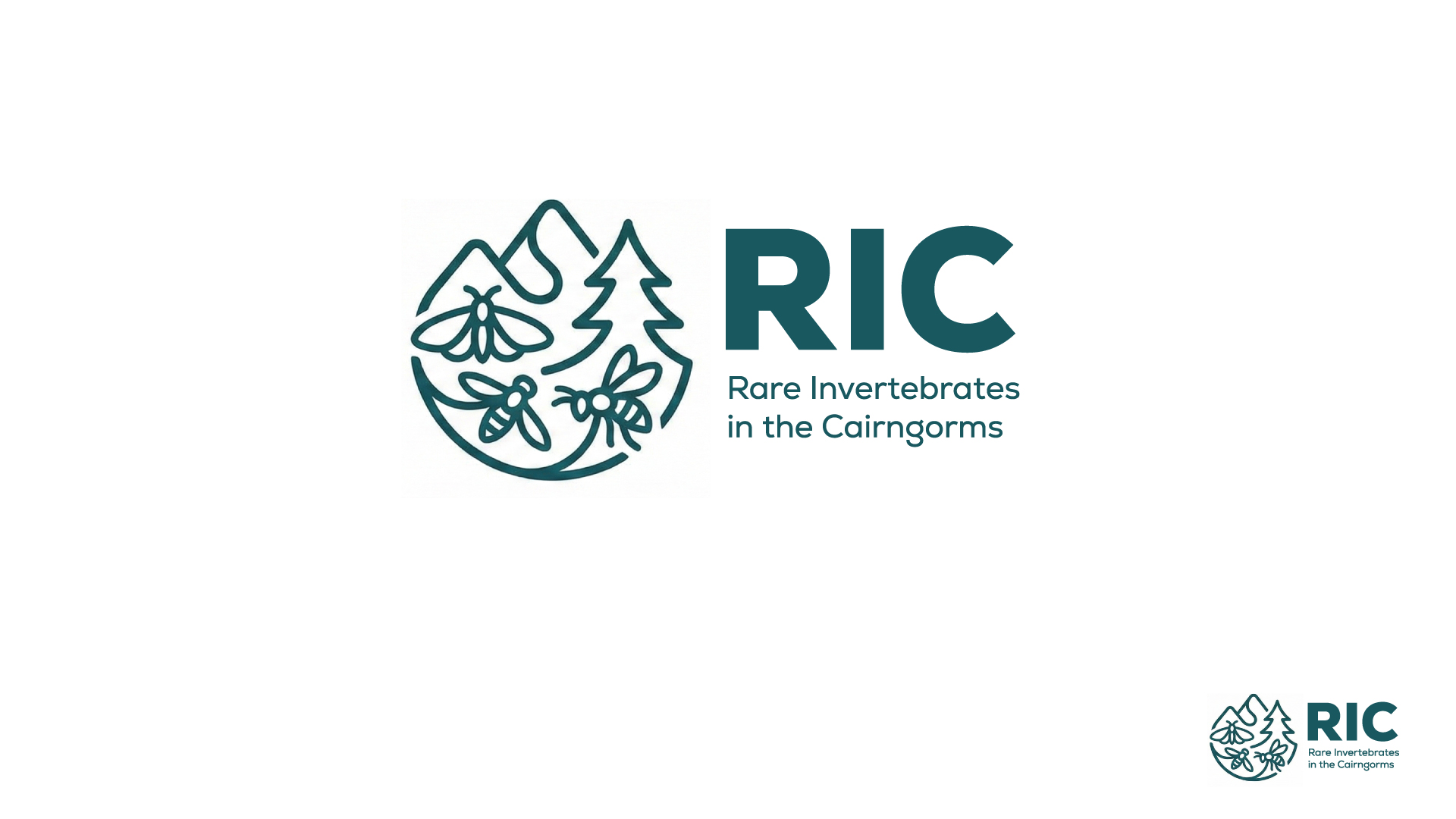 Logo Design by PixelizeDesigns for this project | Design #36781072