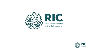 Design de Logo par PixelizeDesigns pour ce projet | Design : #36781072