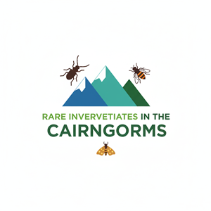 Design de Logo par Creative5 pour ce projet | Design : #36804476