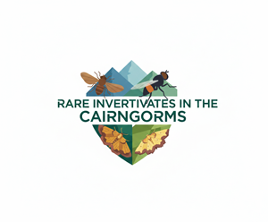 Design de Logo par Creative5 pour ce projet | Design : #36804480