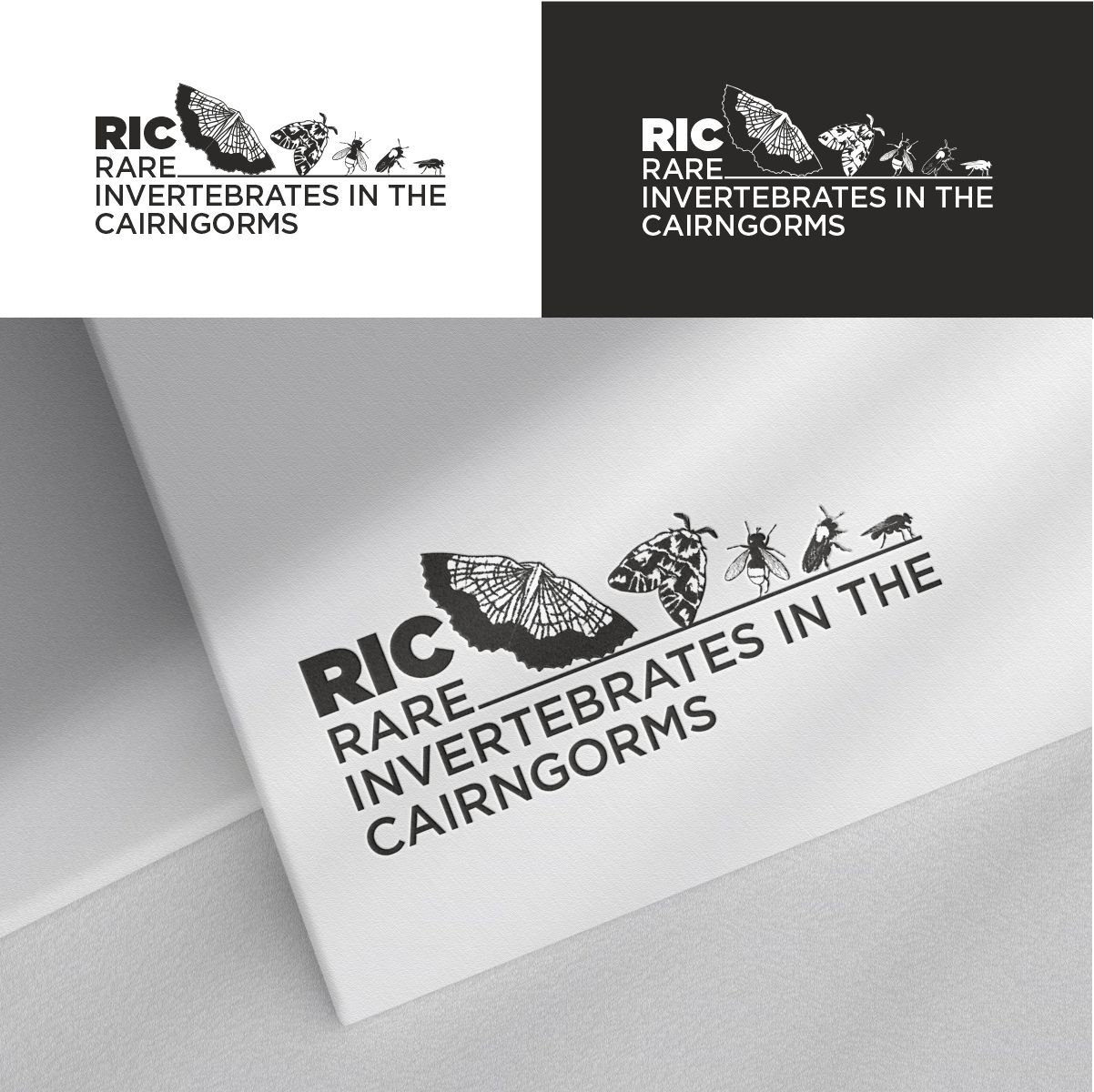 Logo Design by N83touchthesky for this project | Design #36782137