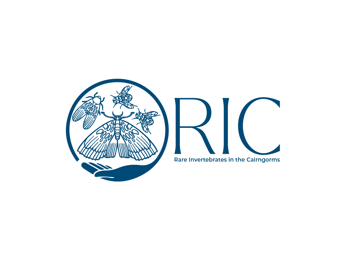 Logo Design by Owltive for this project | Design #36779336