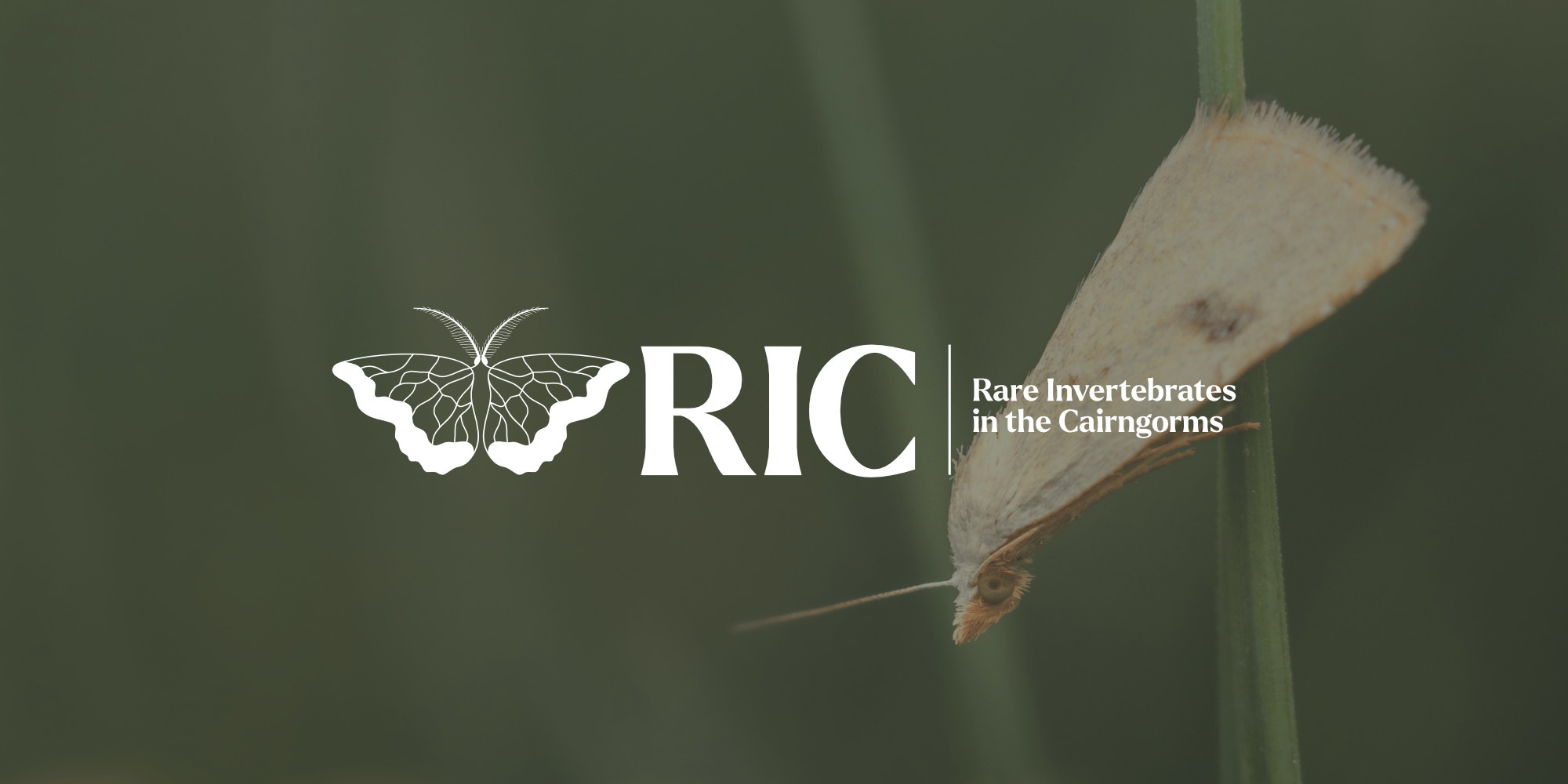 Design de Logo par John316 pour ce projet | Design #36813507